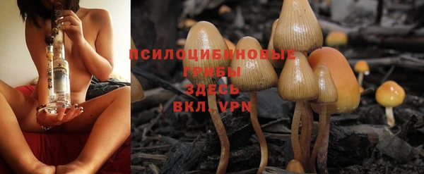 хмурый Алексеевка