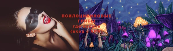 хмурый Алексеевка
