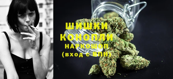 дмт Алексин